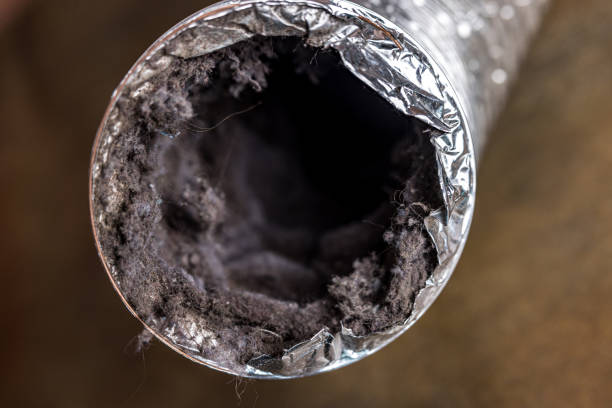 Best HVAC Duct Inspection Services  in Landover Hills, MD